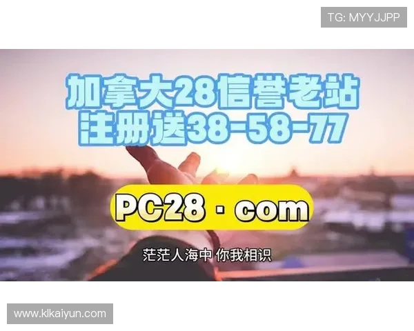 如何安全下载PC蛋蛋28软件及使用指南